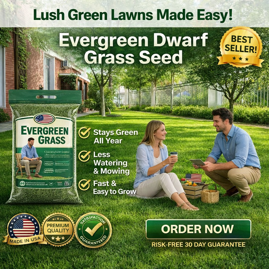 /69d25756fc30c10009446ae5/2026/04/16/product-img-69e11e03373c02bd69cc079f.png